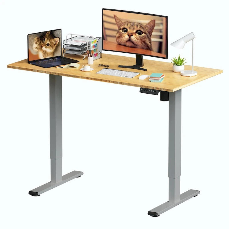 Bamboo Electric Height Adjustable Standing Desk - Single User